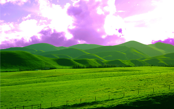 "Green Pastures" near Tracy CA